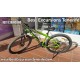 Pro Mountain Bike (Scott 29 Inch)